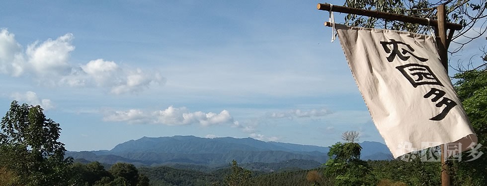 IMG_20231005_145834－out -980x375.jpg